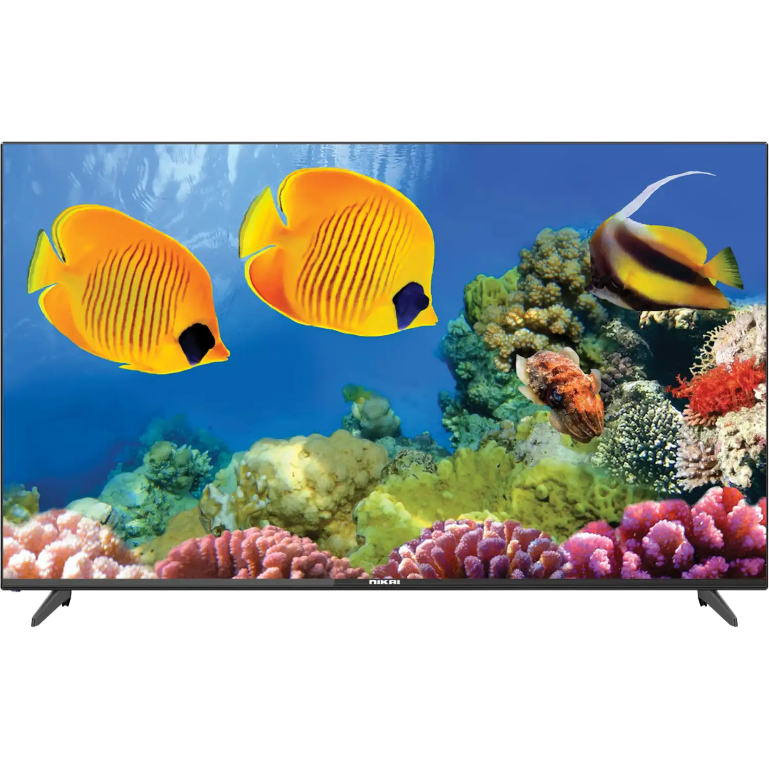 NTV4300LEDN